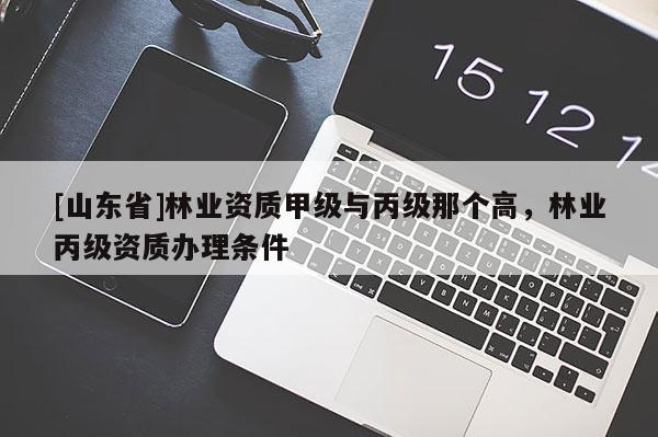 [山东省]林业资质甲级与丙级那个高，林业丙级资质办理条件