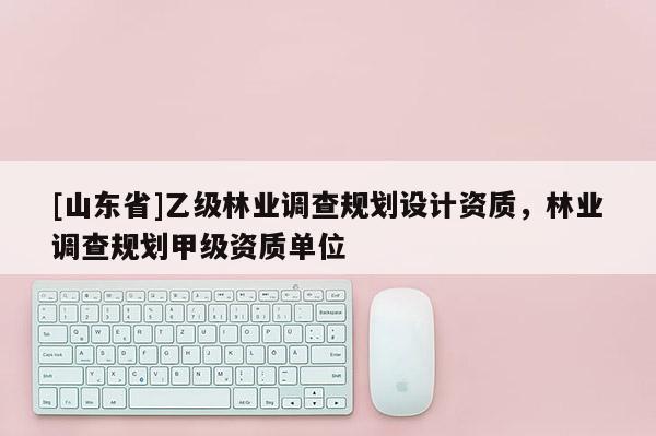 [山东省]乙级林业调查规划设计资质，林业调查规划甲级资质单位