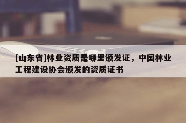 [山东省]林业资质是哪里颁发证，中国林业工程建设协会颁发的资质证书