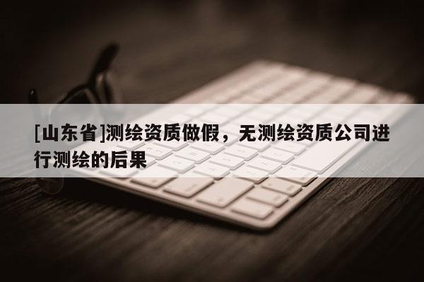 [山东省]测绘资质做假，无测绘资质公司进行测绘的后果