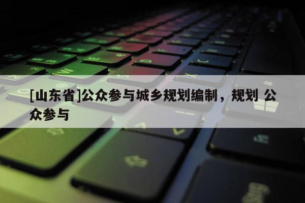 [山东省]公众参与城乡规划编制，规划 公众参与