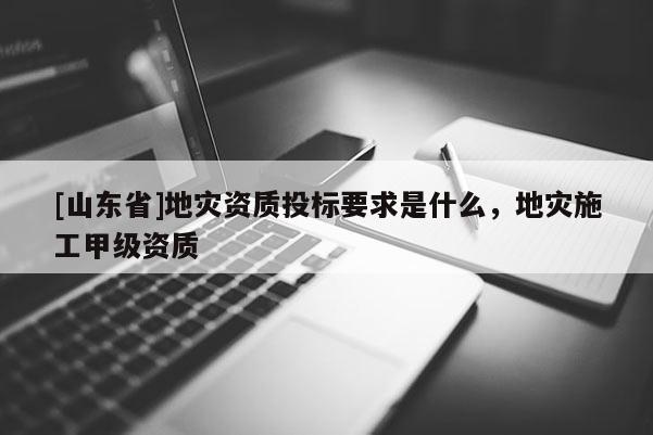 [山东省]地灾资质投标要求是什么，地灾施工甲级资质