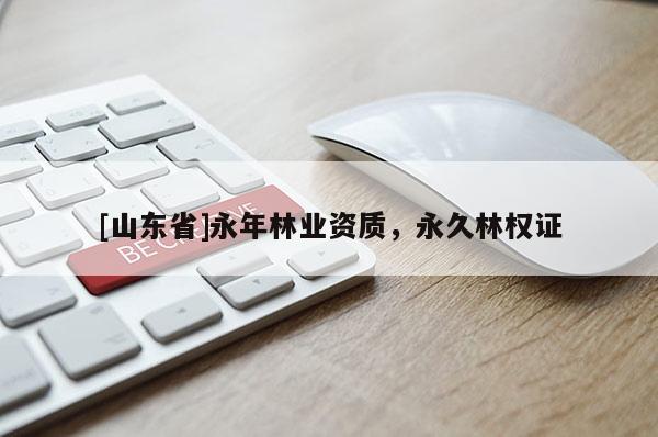 [山东省]永年林业资质，永久林权证