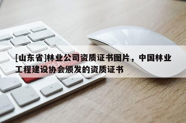 [山东省]林业公司资质证书图片，中国林业工程建设协会颁发的资质证书