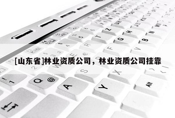 [山东省]林业资质公司，林业资质公司挂靠
