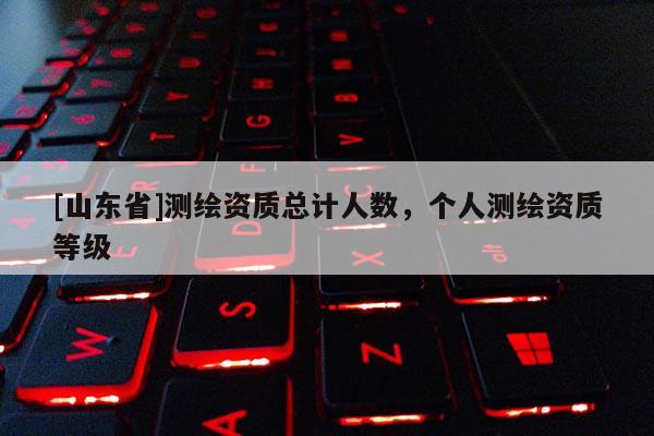 [山东省]测绘资质总计人数，个人测绘资质等级