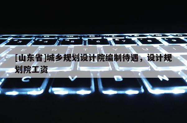 [山东省]城乡规划设计院编制待遇，设计规划院工资