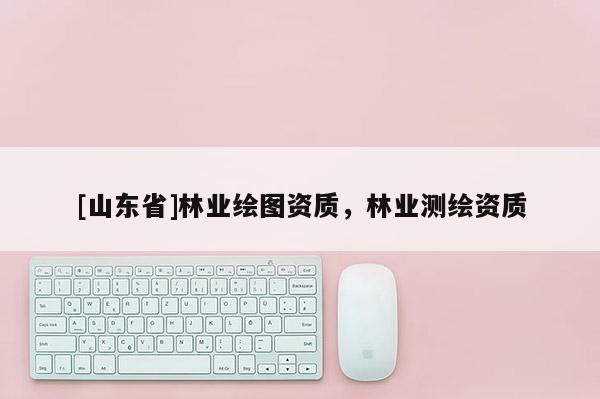 [山东省]林业绘图资质，林业测绘资质