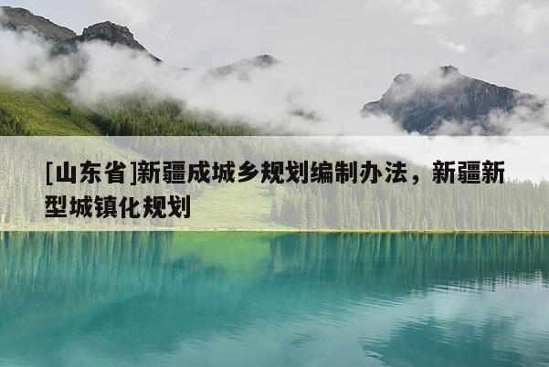 [山东省]新疆成城乡规划编制办法，新疆新型城镇化规划