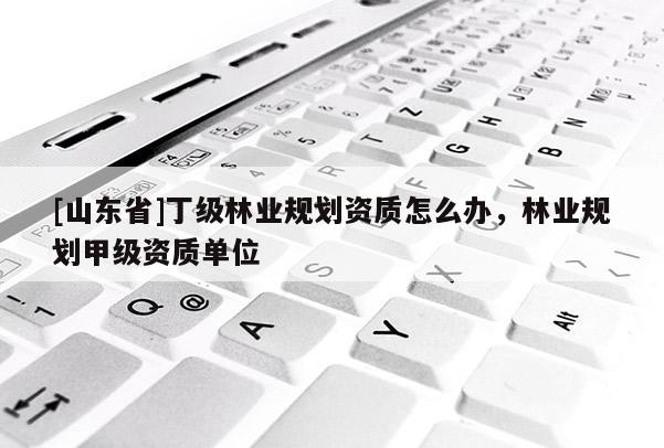 [山东省]丁级林业规划资质怎么办，林业规划甲级资质单位