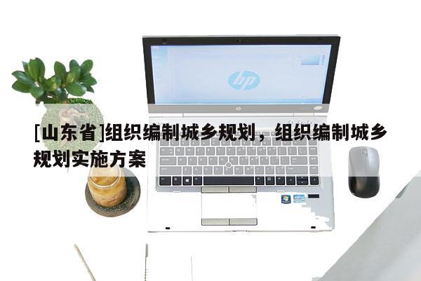 [山东省]组织编制城乡规划，组织编制城乡规划实施方案