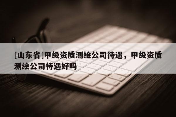 [山东省]甲级资质测绘公司待遇，甲级资质测绘公司待遇好吗