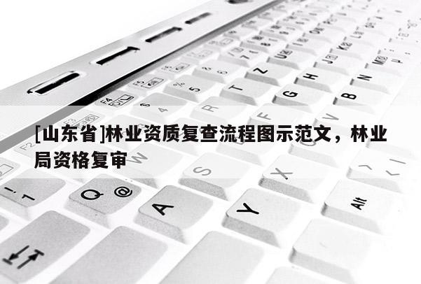 [山东省]林业资质复查流程图示范文，林业局资格复审