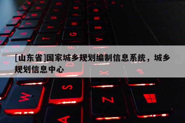 [山东省]国家城乡规划编制信息系统，城乡规划信息中心