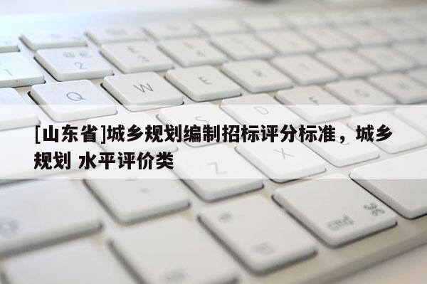 [山东省]城乡规划编制招标评分标准，城乡规划 水平评价类