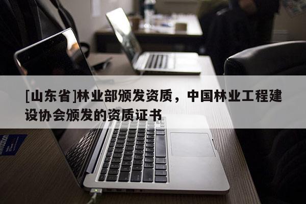 [山东省]林业部颁发资质，中国林业工程建设协会颁发的资质证书