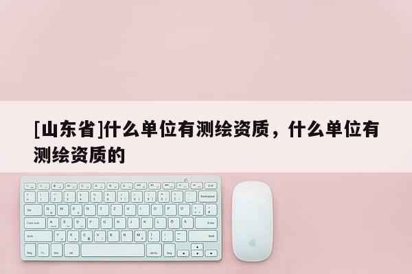 [山东省]什么单位有测绘资质，什么单位有测绘资质的