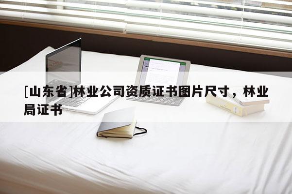 [山东省]林业公司资质证书图片尺寸，林业局证书