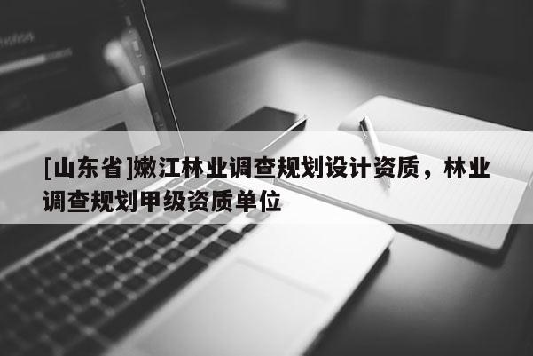 [山东省]嫩江林业调查规划设计资质，林业调查规划甲级资质单位