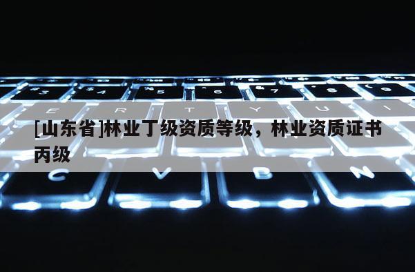 [山东省]林业丁级资质等级，林业资质证书丙级
