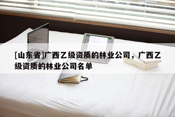 [山东省]广西乙级资质的林业公司，广西乙级资质的林业公司名单
