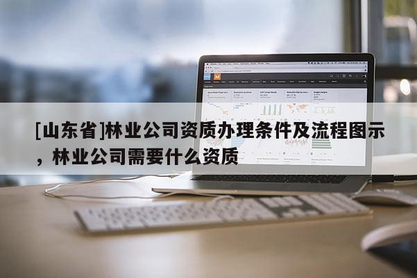 [山东省]林业公司资质办理条件及流程图示，林业公司需要什么资质