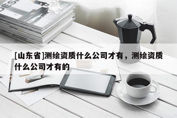 [山东省]测绘资质什么公司才有，测绘资质什么公司才有的