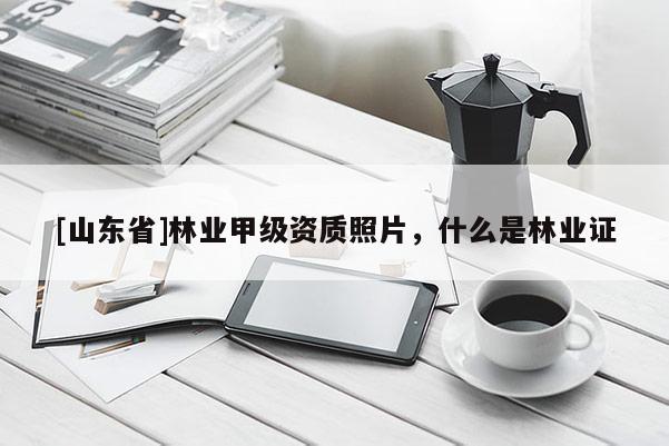 [山东省]林业甲级资质照片，什么是林业证