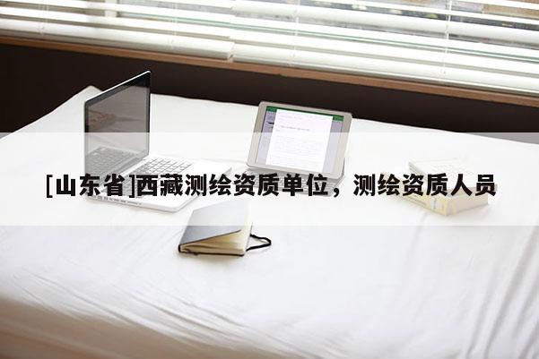 [山东省]西藏测绘资质单位，测绘资质人员