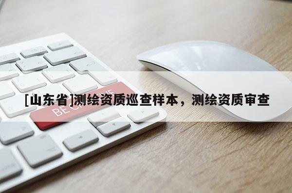 [山东省]测绘资质巡查样本，测绘资质审查