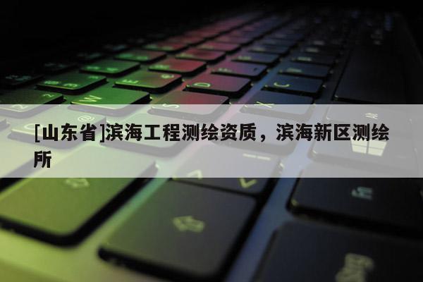 [山东省]滨海工程测绘资质，滨海新区测绘所