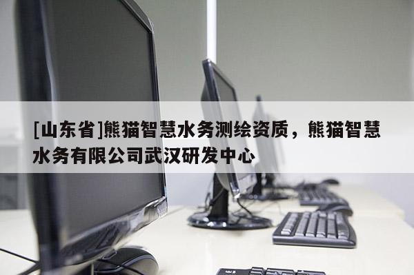 [山东省]熊猫智慧水务测绘资质，熊猫智慧水务有限公司武汉研发中心