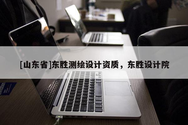 [山东省]东胜测绘设计资质，东胜设计院