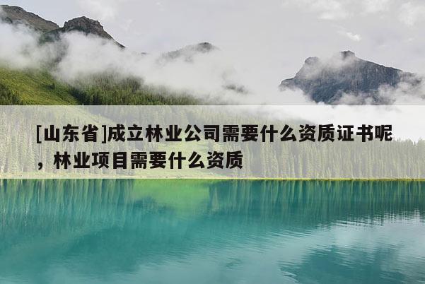 [山东省]成立林业公司需要什么资质证书呢，林业项目需要什么资质