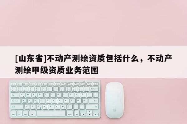 [山东省]不动产测绘资质包括什么，不动产测绘甲级资质业务范围
