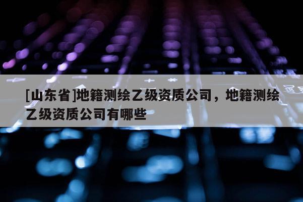 [山东省]地籍测绘乙级资质公司，地籍测绘乙级资质公司有哪些