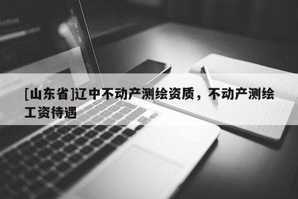 [山东省]辽中不动产测绘资质，不动产测绘工资待遇