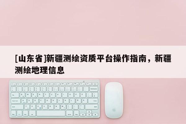 [山东省]新疆测绘资质平台操作指南，新疆测绘地理信息