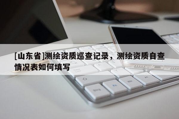 [山东省]测绘资质巡查记录，测绘资质自查情况表如何填写