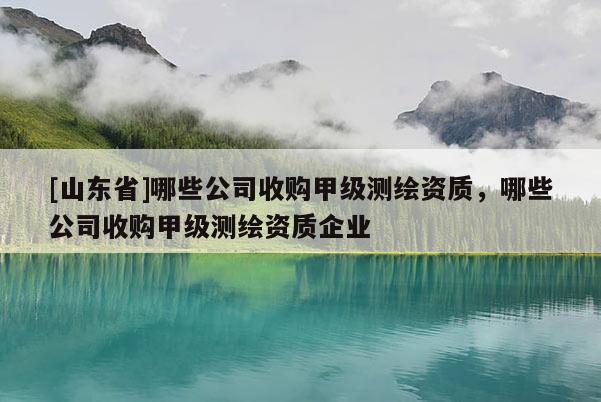 [山东省]哪些公司收购甲级测绘资质，哪些公司收购甲级测绘资质企业