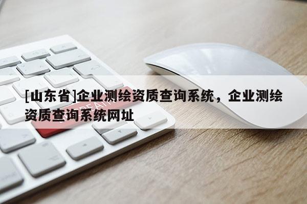 [山东省]企业测绘资质查询系统，企业测绘资质查询系统网址