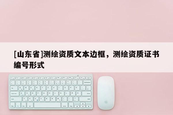 [山东省]测绘资质文本边框，测绘资质证书编号形式