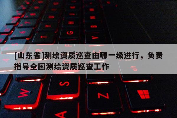 [山东省]测绘资质巡查由哪一级进行，负责指导全国测绘资质巡查工作