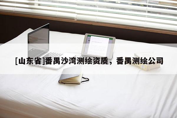 [山东省]番禺沙湾测绘资质，番禺测绘公司