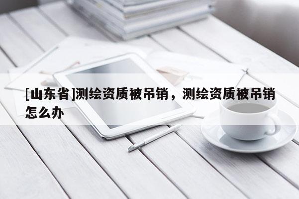 [山东省]测绘资质被吊销，测绘资质被吊销怎么办