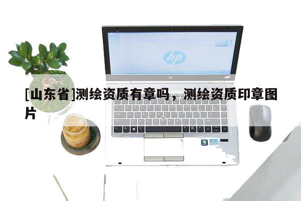 [山东省]测绘资质有章吗，测绘资质印章图片