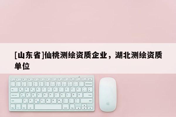[山东省]仙桃测绘资质企业，湖北测绘资质单位