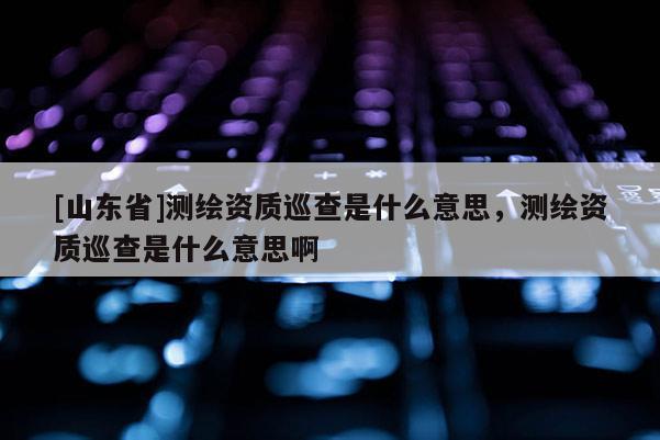 [山东省]测绘资质巡查是什么意思，测绘资质巡查是什么意思啊