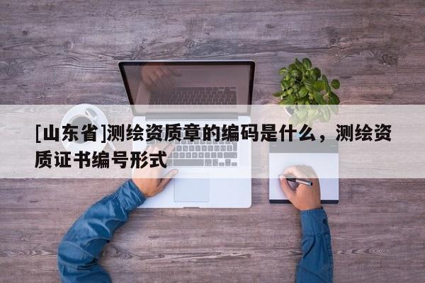 [山东省]测绘资质章的编码是什么，测绘资质证书编号形式