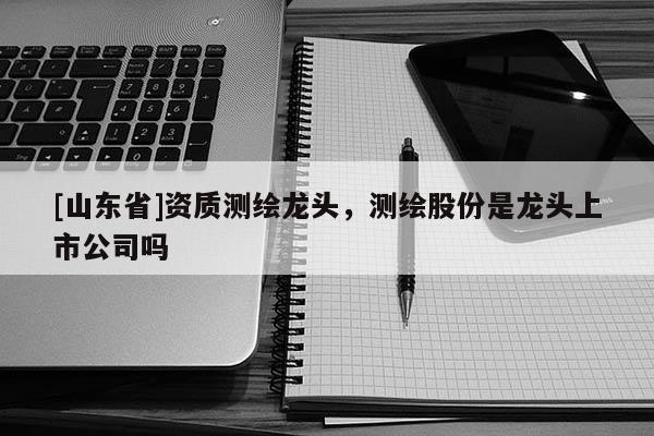[山东省]资质测绘龙头，测绘股份是龙头上市公司吗
